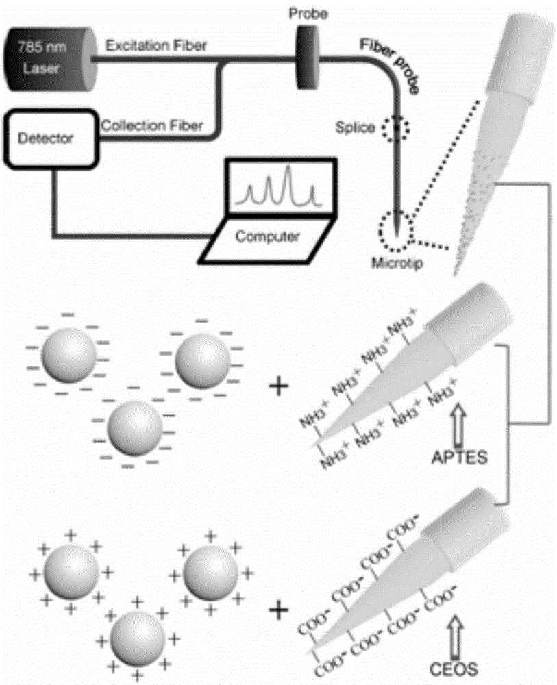 Method for assembling precious metal nanocrystalline on surface of conical fiber