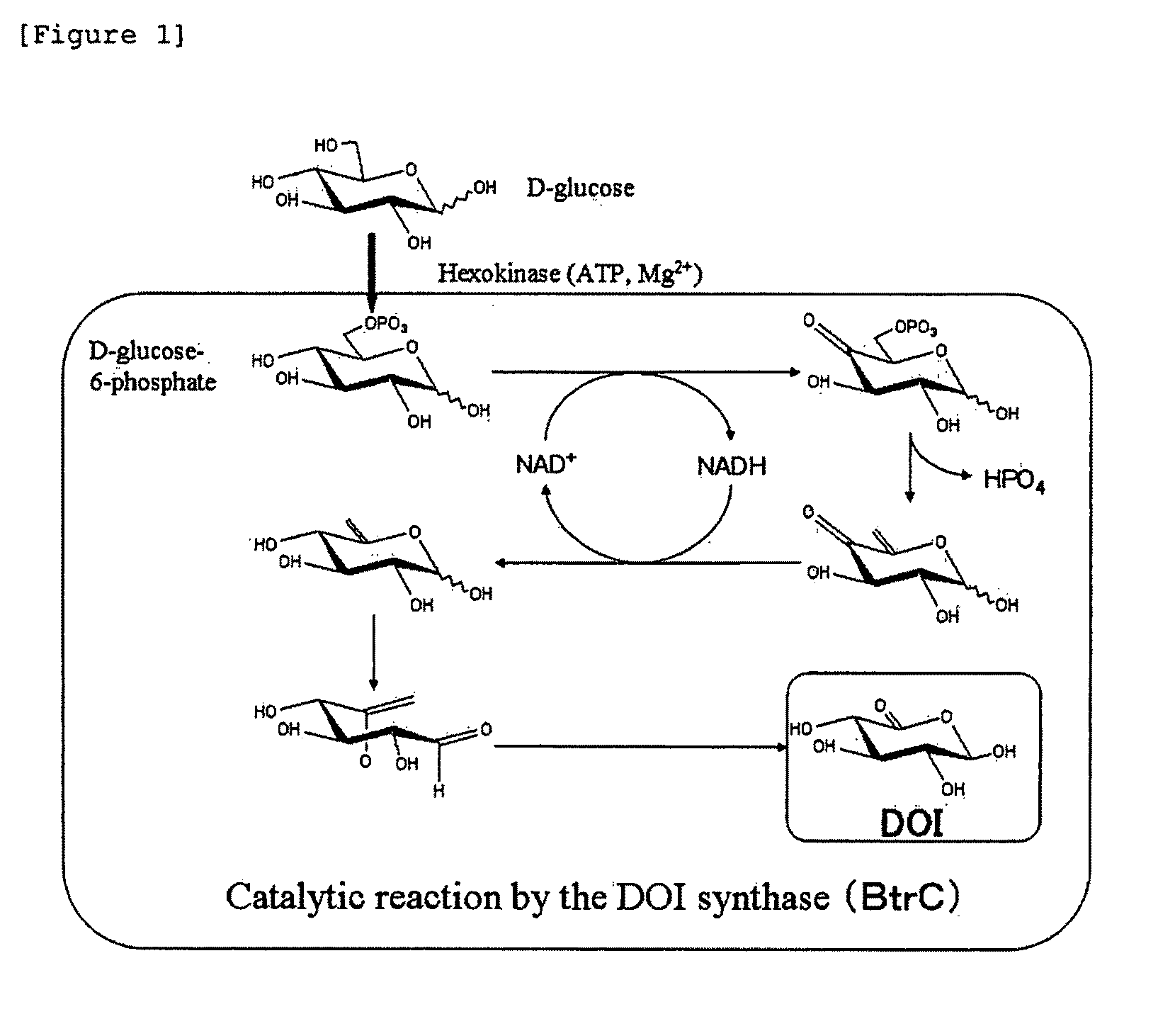 Gene Expression Cassette and a Transformant, and a Method for Manufacturing 2-Deoxy-Scyllo-Inosose and a Method for Purifying 2-Deoxy-Scyllo-Inosose Using Said Transformant