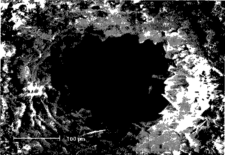 Preparation method of polyporous material for biological medicine tissue engineering scaffold