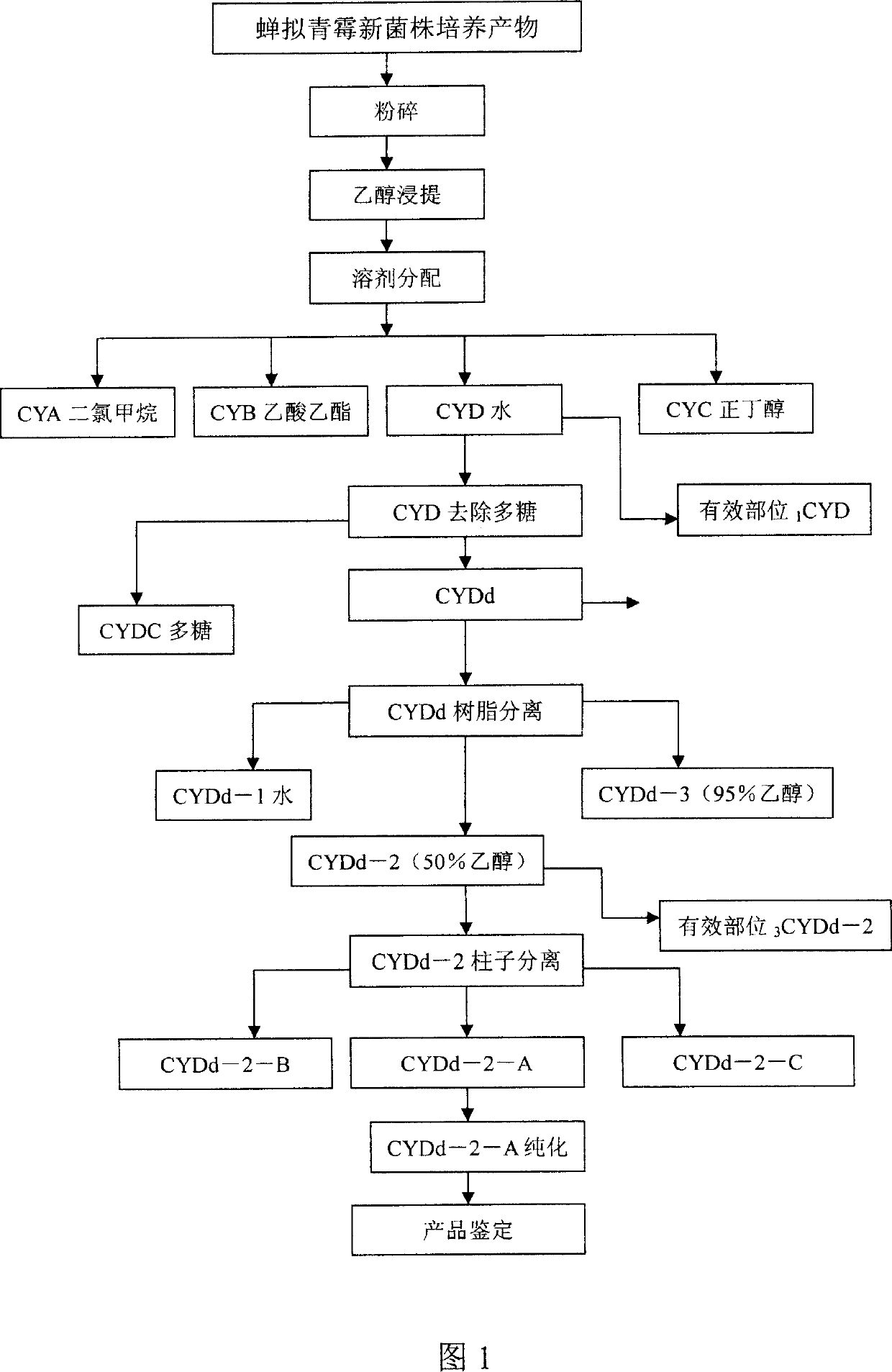 Process for extracting N6-(2-ethoxyl) adenosine from Paecilomyces Cicadae Samson culture