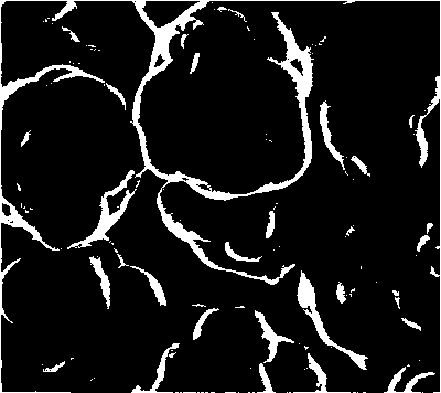 A core-shell mesoporous silica microsphere material with adjustable surface roughness and preparation method thereof