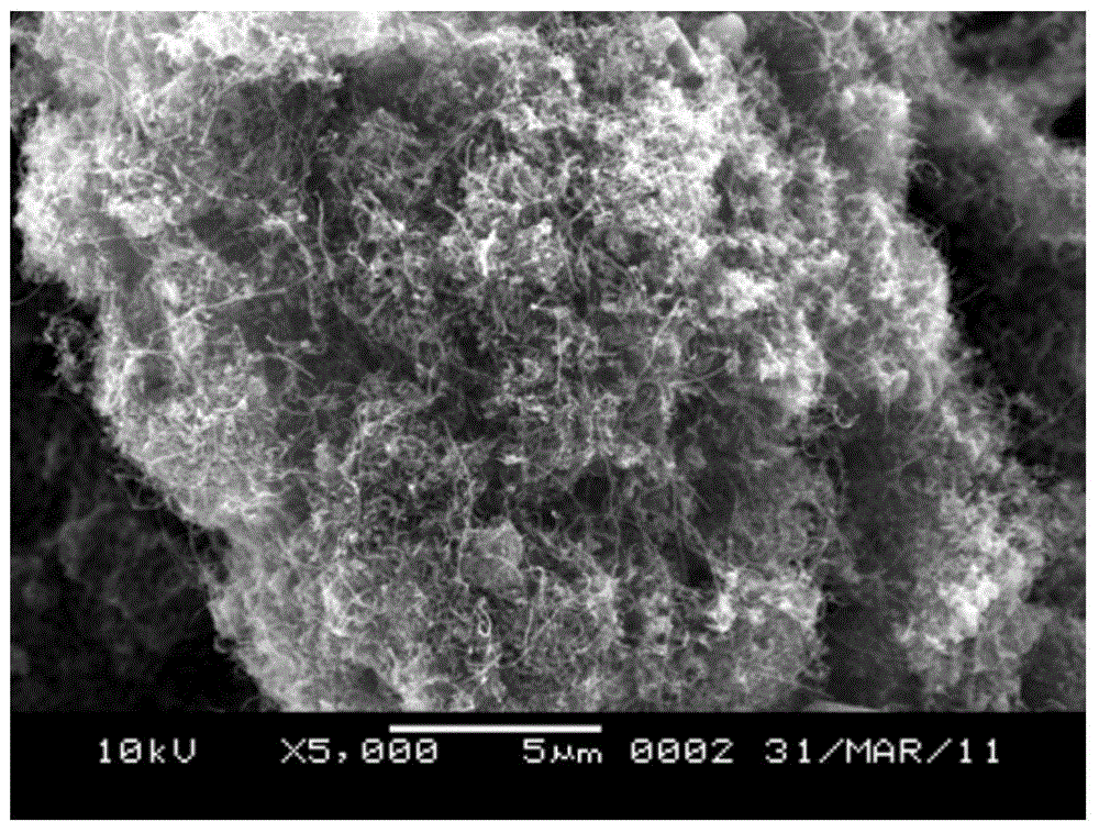 Preparation method of carbon-nanotube-modified lithium iron phosphate lithium ion battery positive electrode material