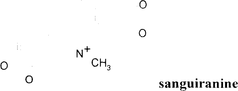 Application of sanguinarine or toddaline in prevention and cure of schistosomiasis