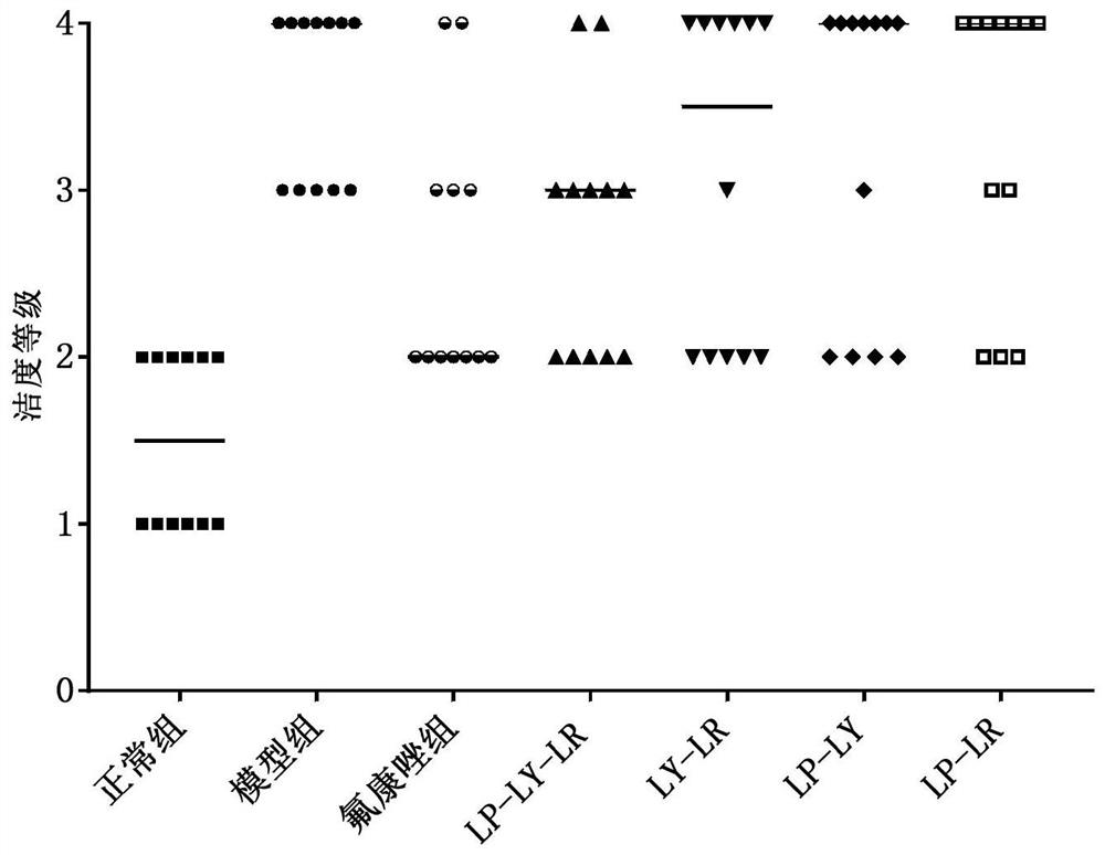 Compound probiotic bacteria, fungicide and application of compound probiotic bacteria in preparation of fungicide for preventing and treating candida albicans vaginitis