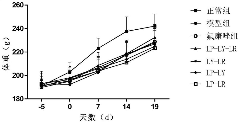 Compound probiotic bacteria, fungicide and application of compound probiotic bacteria in preparation of fungicide for preventing and treating candida albicans vaginitis