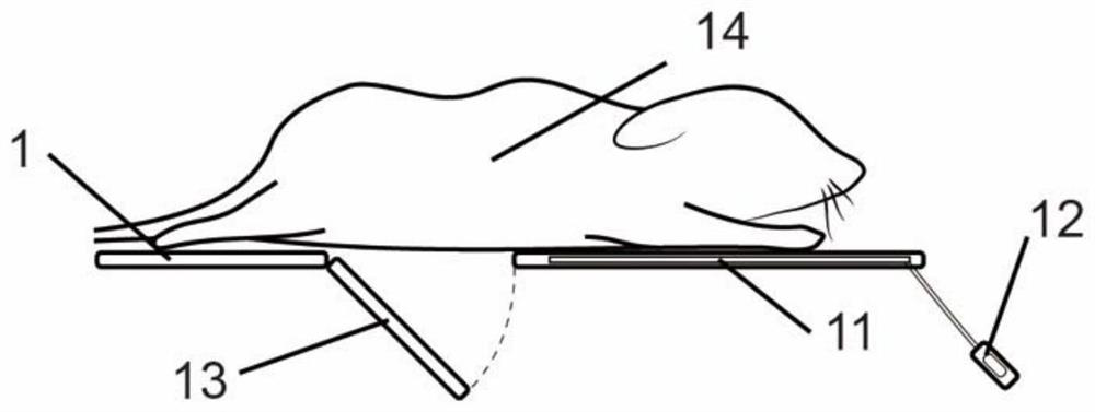 Mouse operation and optical imaging experiment device