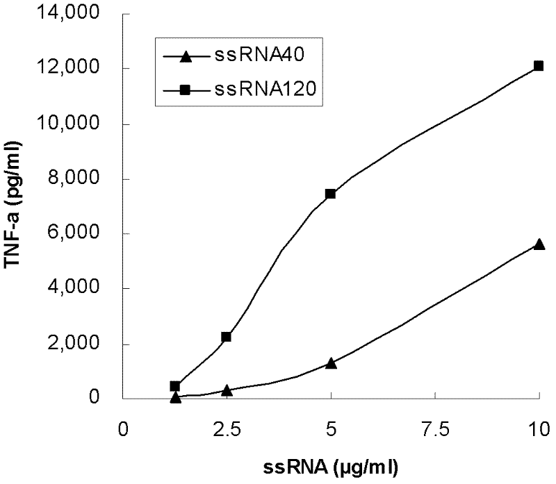 Agonist and application of Toll-like receptors 7 and 8