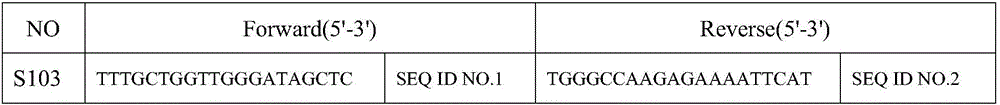 Forest tree genetic evaluation precision improving method using SSR marker information