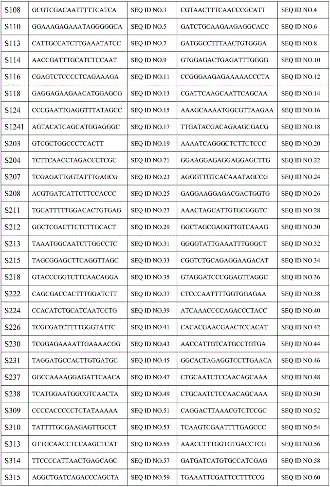 Forest tree genetic evaluation precision improving method using SSR marker information