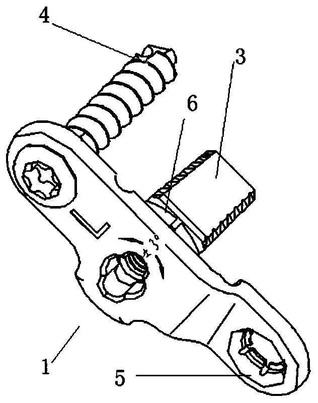 A fixation system for the spine