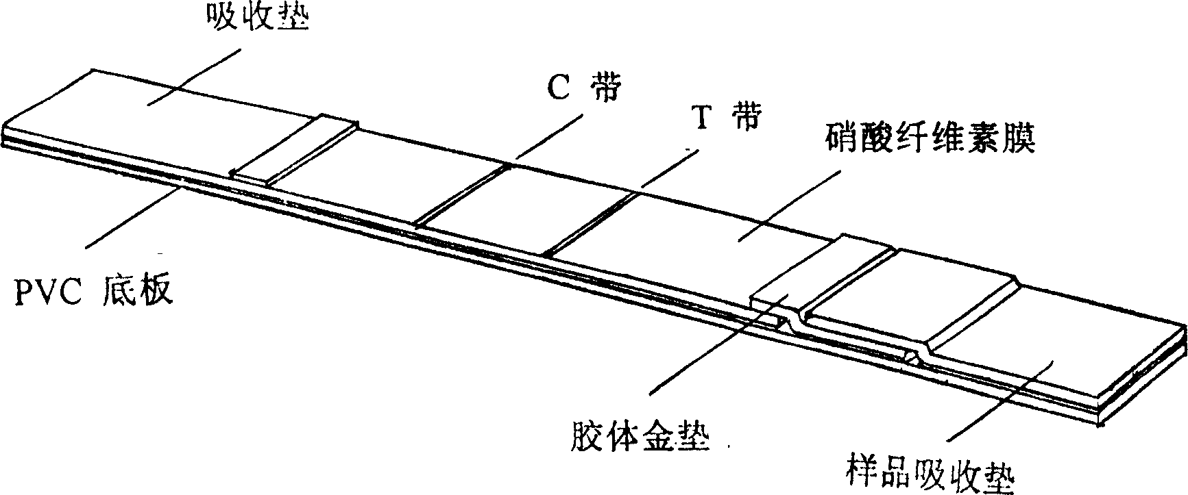 Quick detection reagent for syphilis leptospira antigen and preparation method thereof