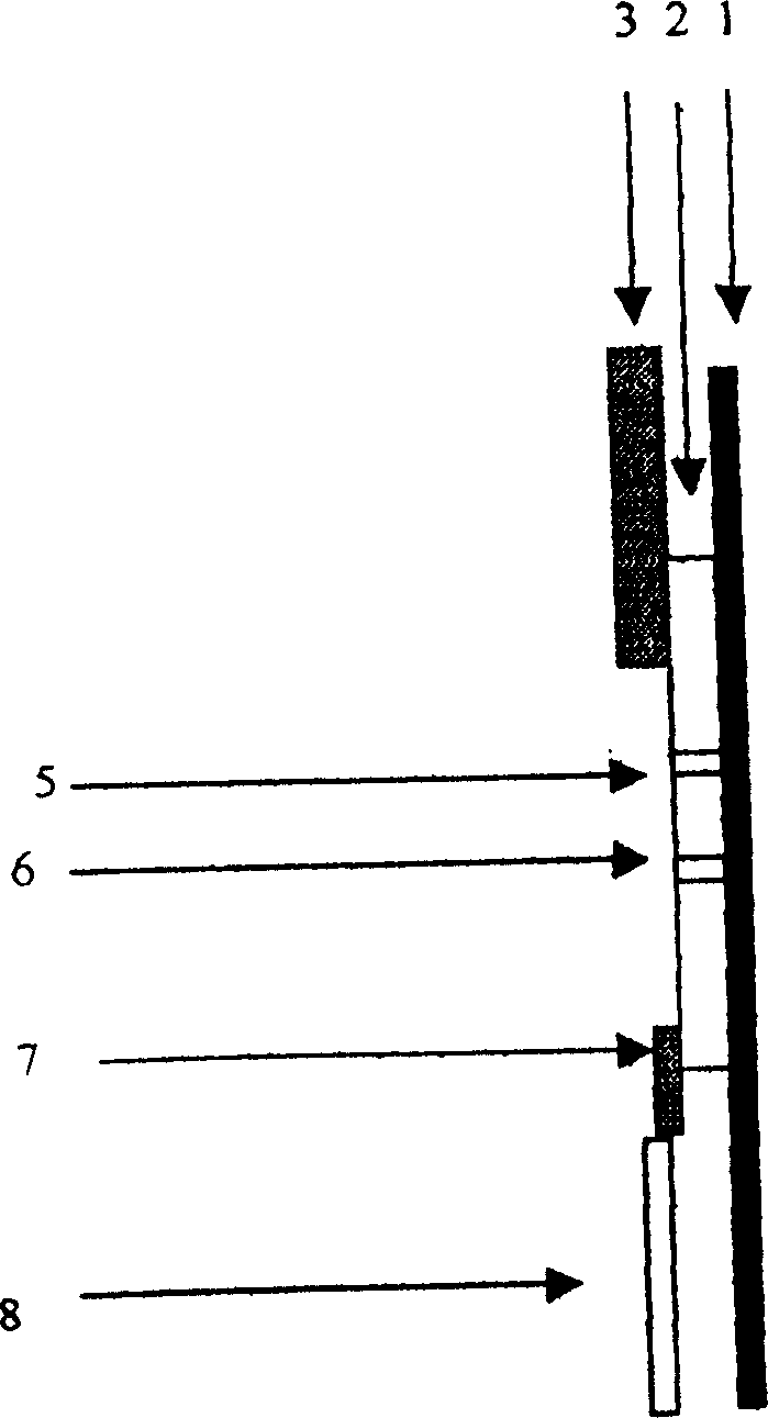 Quick detection reagent for syphilis leptospira antigen and preparation method thereof