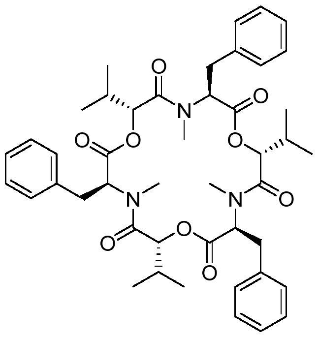 Application of a marine fungus-derived beauveria in biological control of marine fouling