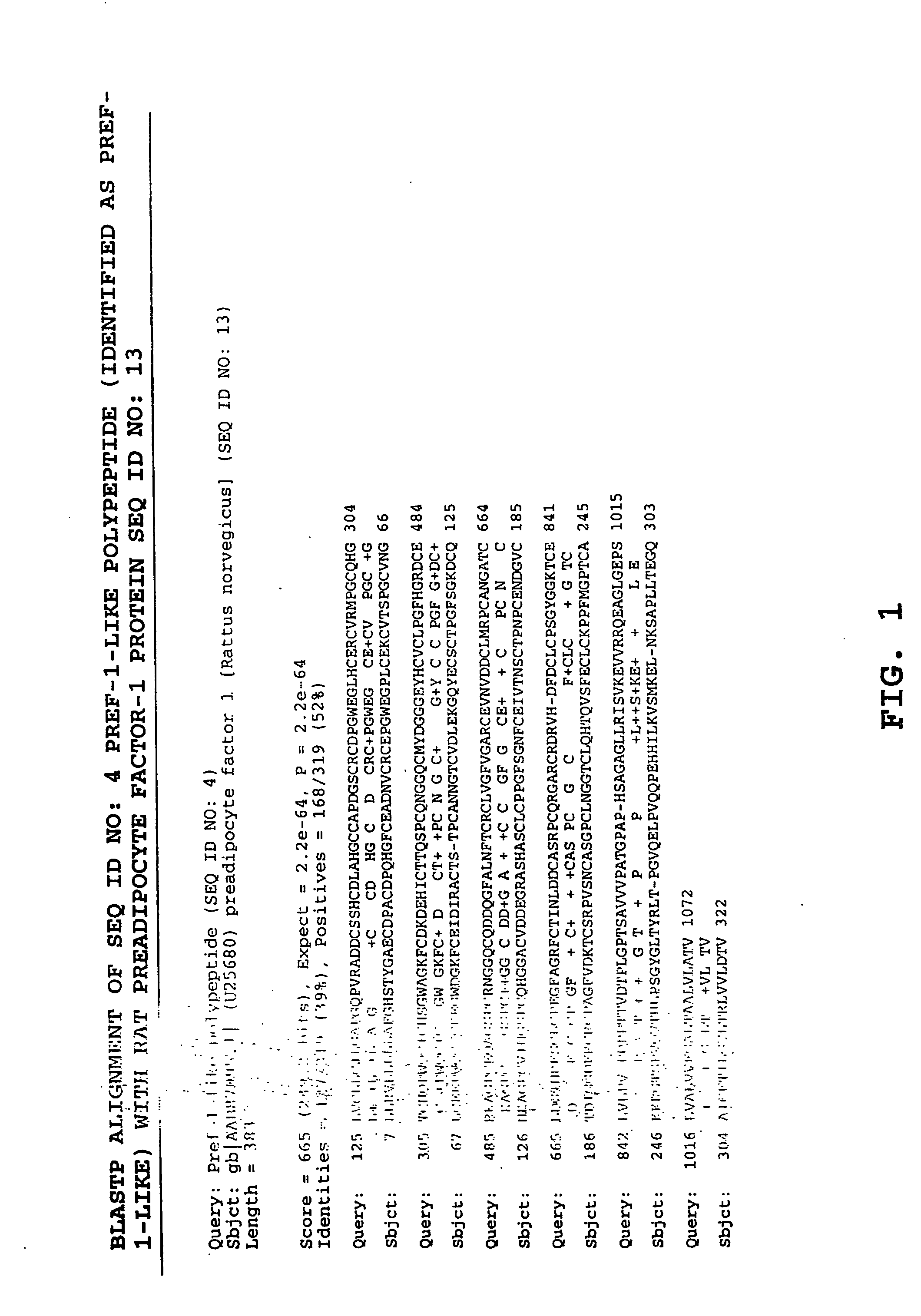 Methods and materials relating to preadipocyte factor-1-like (pref-1-like) polypeptides and polynucleotides