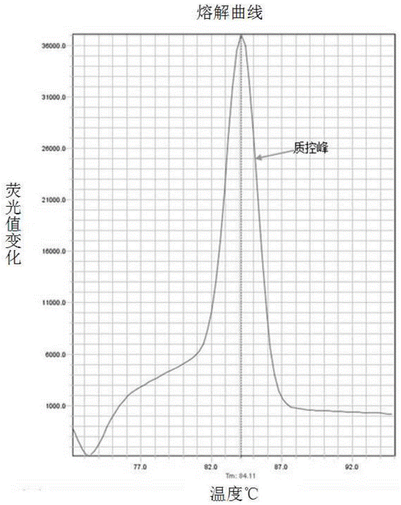 Kit and primer pair group for detecting drug-induced deafness susceptibility gene mutation site