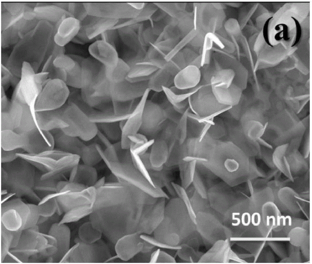 Cobalt-doped tungsten sulfide nano sheets, and preparation method and application thereof in electrochemical hydrogen evolution