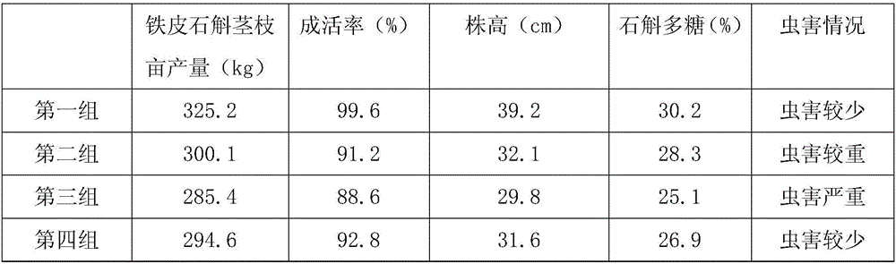 Method of planting Dendrobium officinale