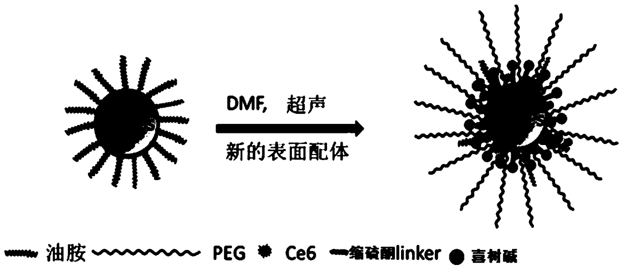 A ROS-responsive nano-drug delivery system and its preparation method and application