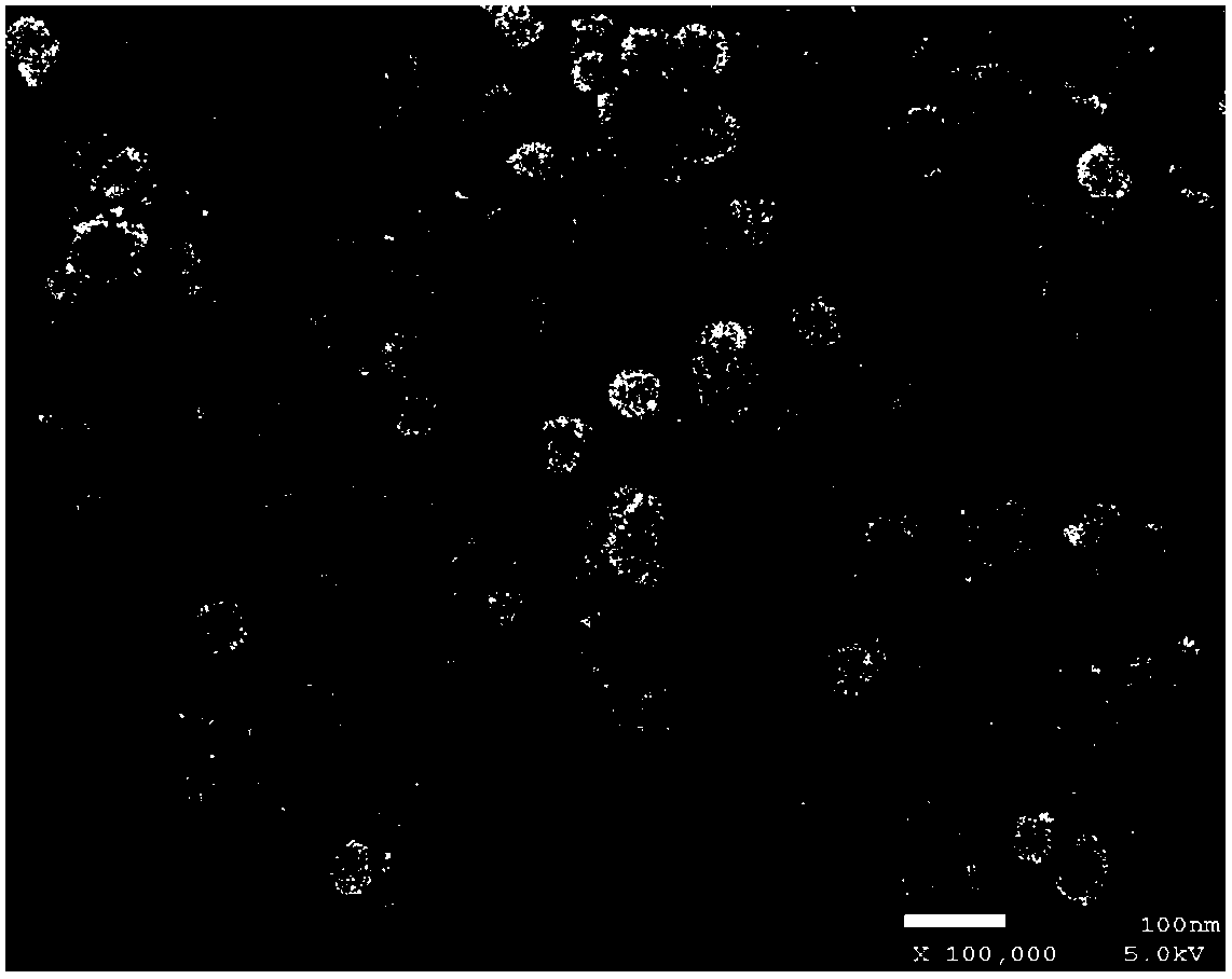 Method for preparing nanometer cobalt powder by liquid-liquid two-phase method