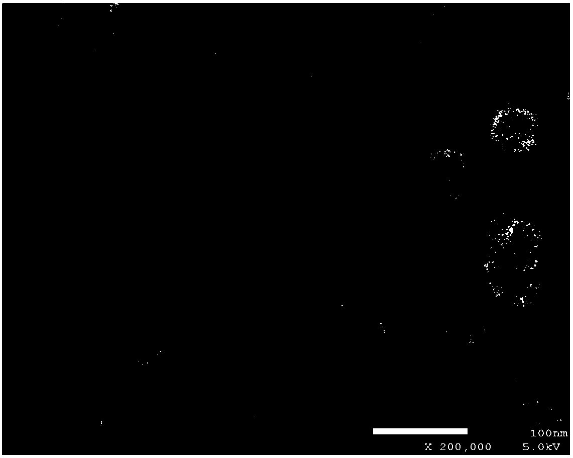 Method for preparing nanometer cobalt powder by liquid-liquid two-phase method