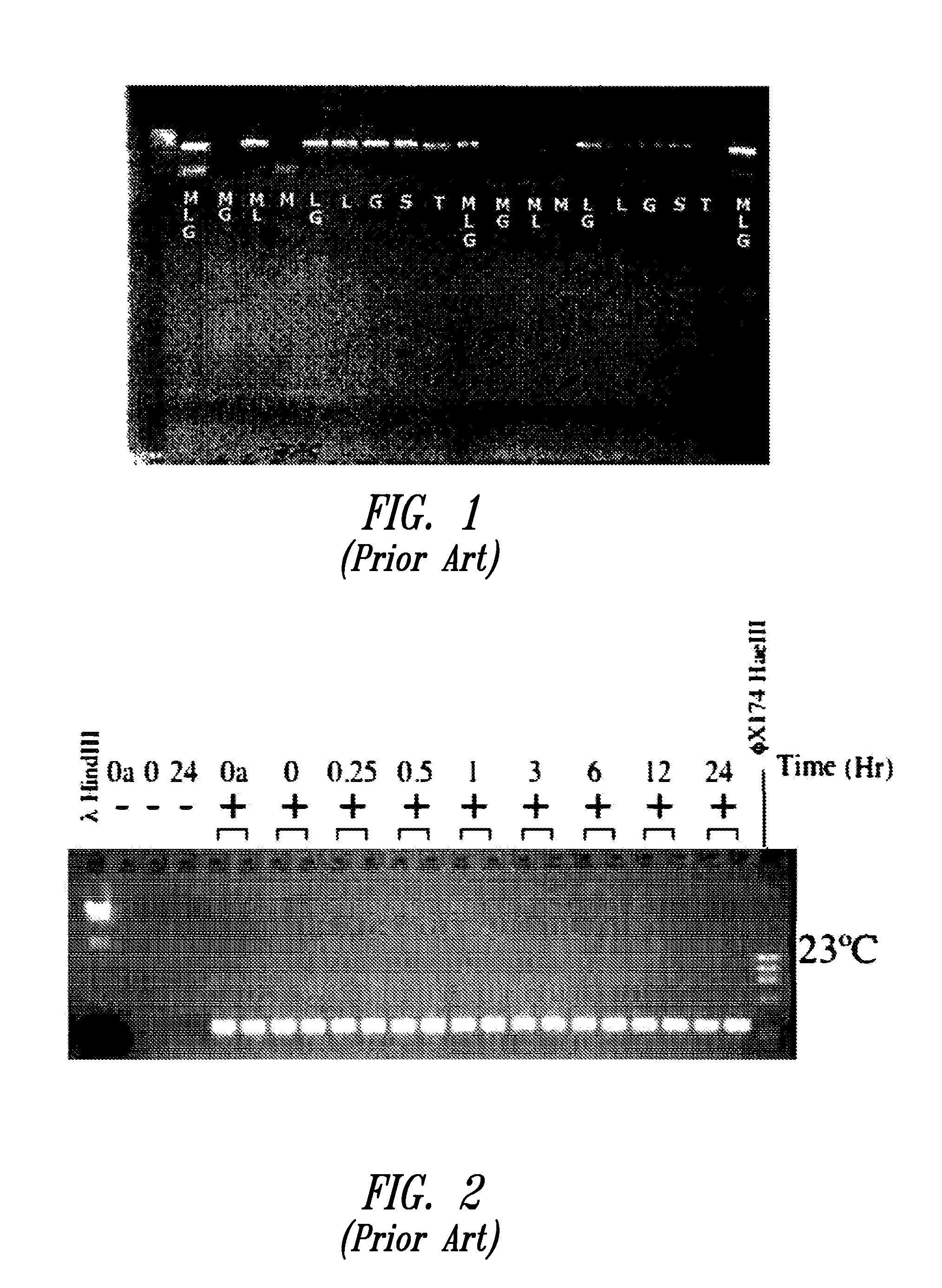 Rehydratable matrices for dry storage of TAQ polymerase in a microfluidic device