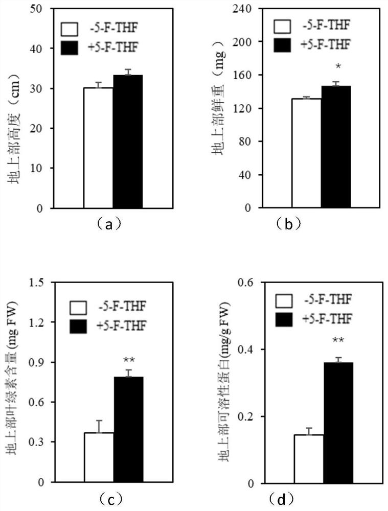 Application and method of 5-formyltetrahydrofolate in improving nitrogen utilization rate of plants