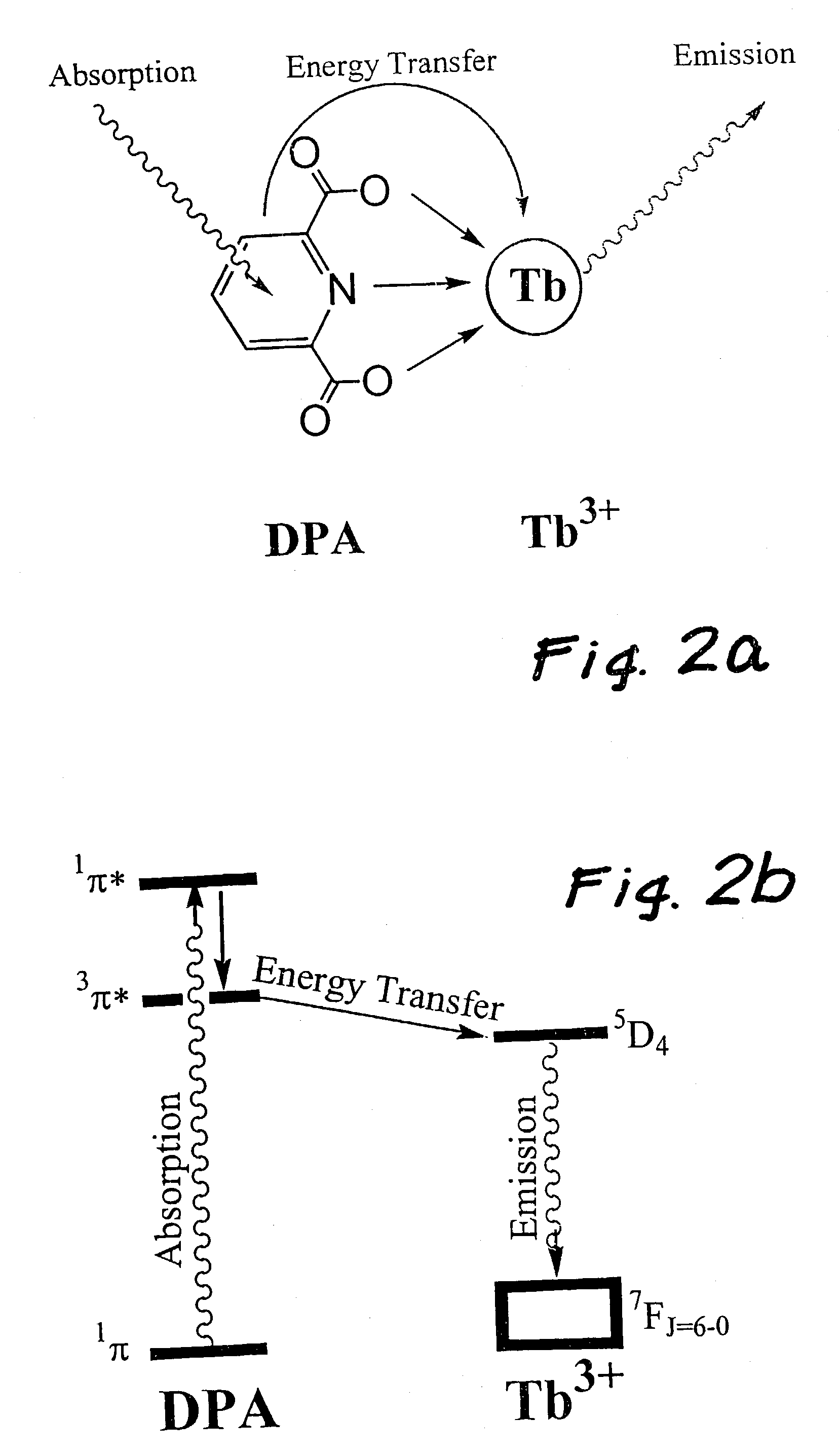 Method bacterial endospore quantification using lanthanide dipicolinate luminescence