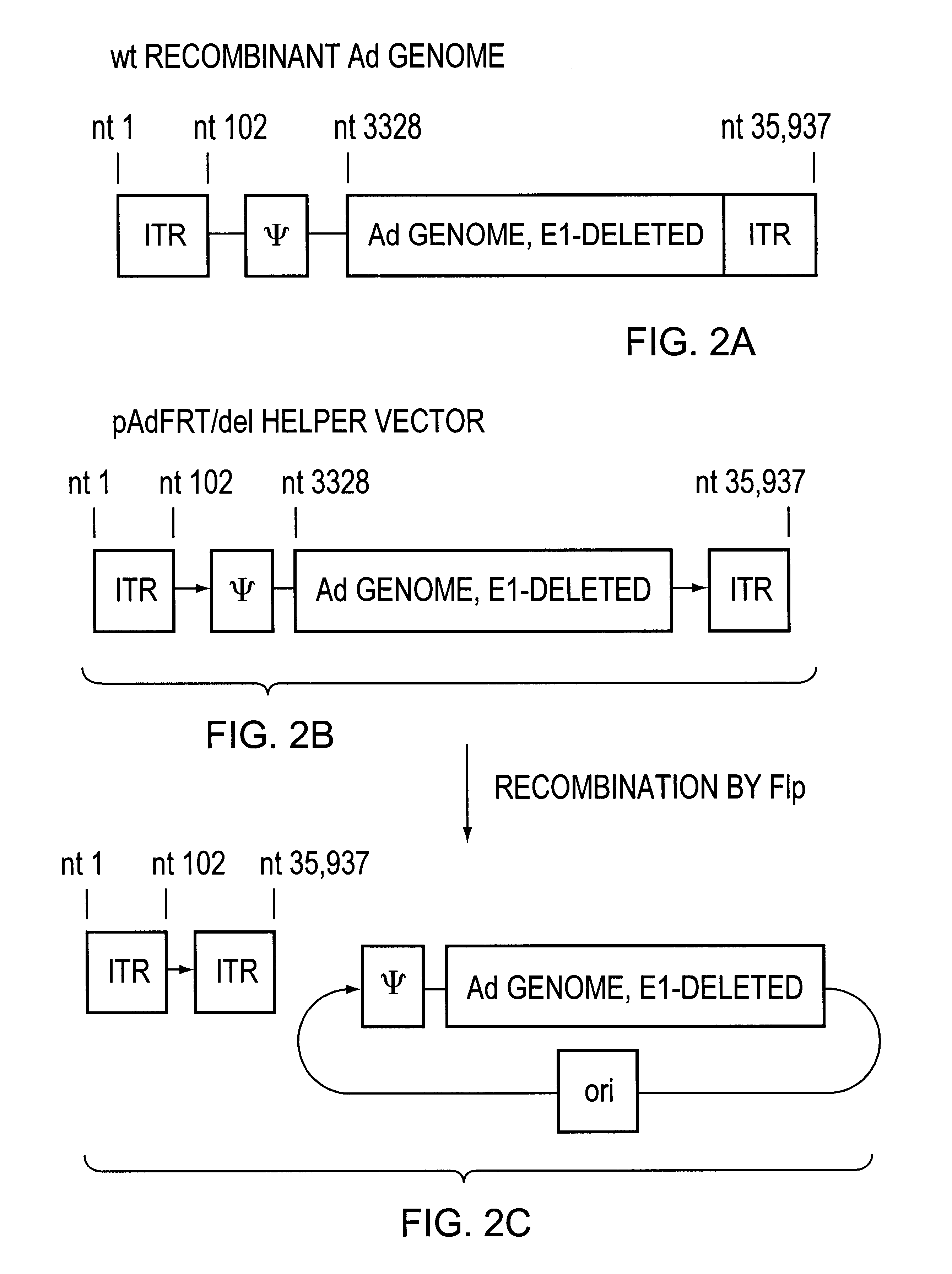 Adenoviral helper vectors