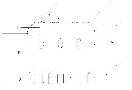 Method for culturing seedlings of polygonatum kingianum rhizome