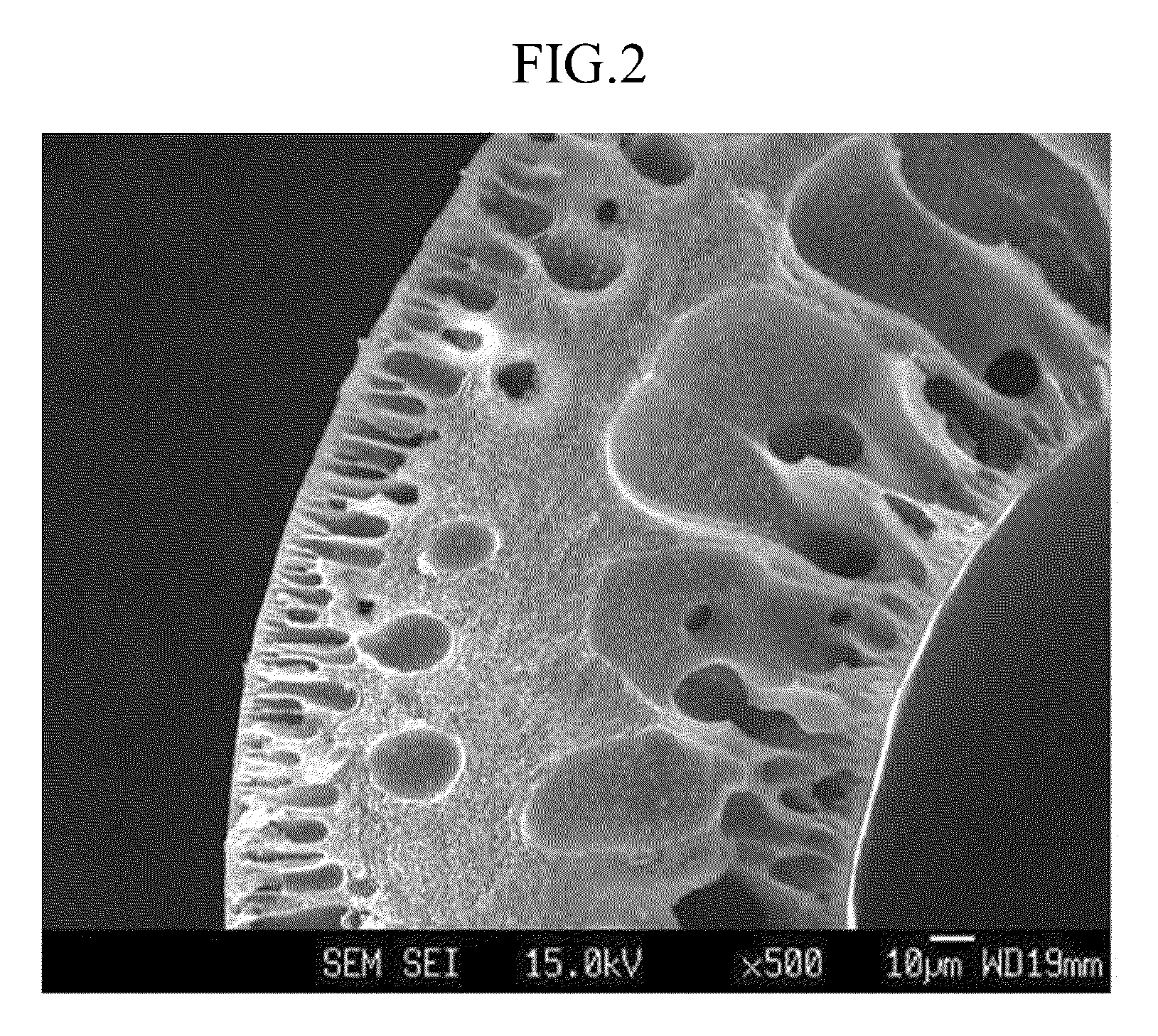 Hollow fiber, dope composition for forming hollow fiber, and method of preparing hollow fiber using the same