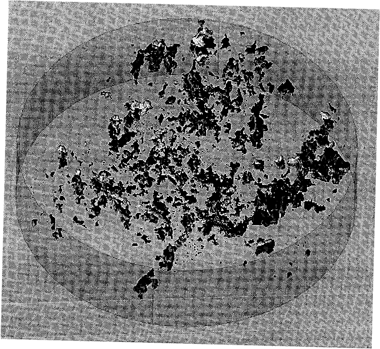 Material and method for manufacturing carbonate cave oil reservoir physical model