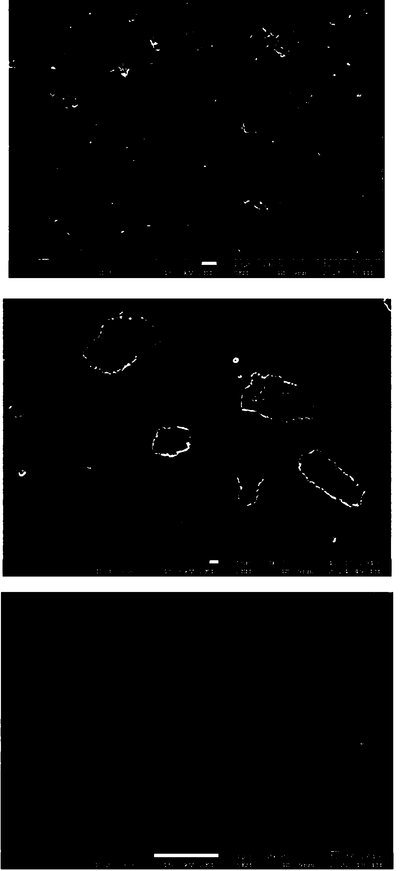 Preparation method of WC-Co-cBN composite material