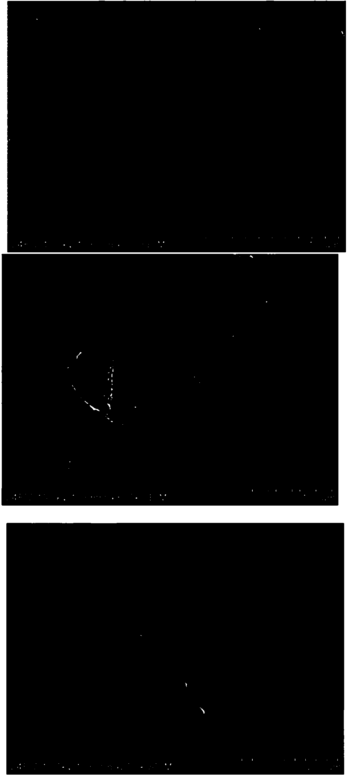 Preparation method of WC-Co-cBN composite material