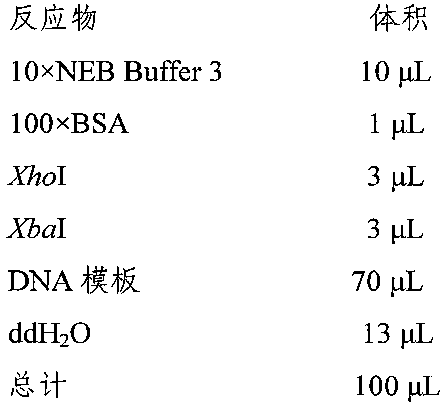 Group of trypsin resistant antimicrobial peptides and preparation method thereof