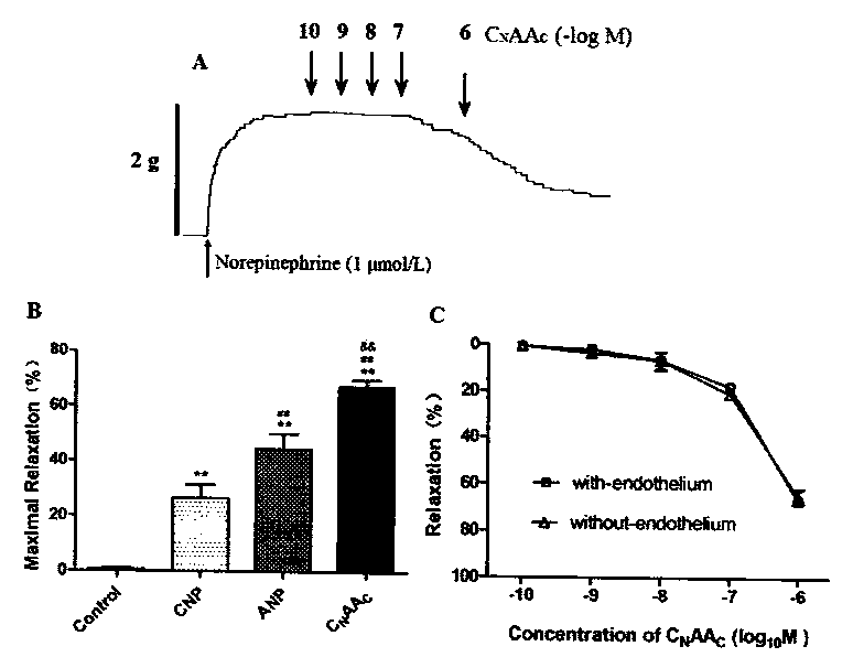 A novel natriuretic peptide chimera c with anti-heart failure activity  <sub>n</sub> aa  <sub>c</sub>