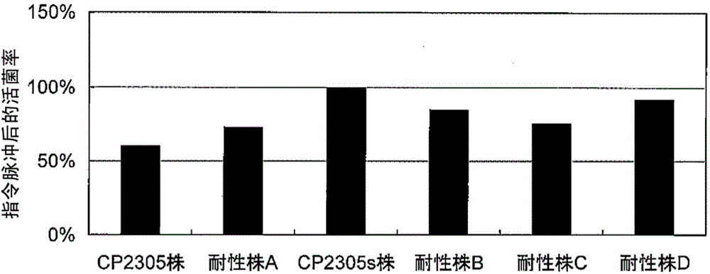 Stress-induced bowel disorder-relieving agent comprising specific lactobacillus gasseri strain or treatment product thereof