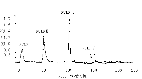 Application of Phyllanthus urinaria polysaccharide in preparation of anti-hepatitis B virus medicines