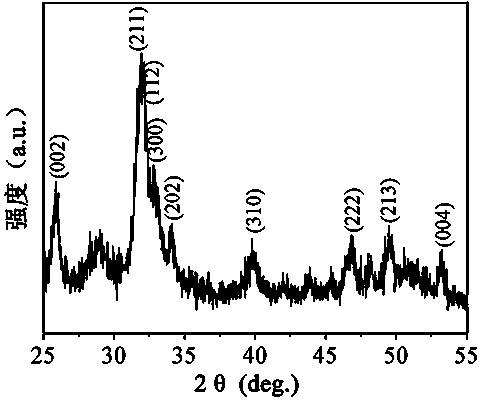 Nano hydroxyapatite-gene-medicament complex as well as preparation method and application thereof