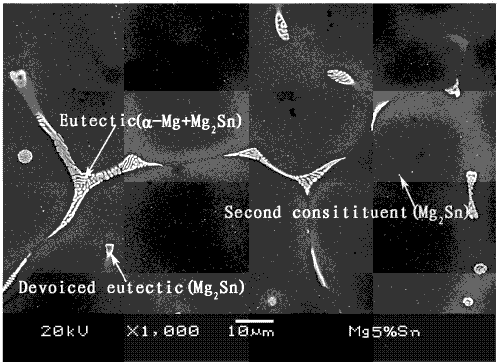 Heterogeneous high damping magnesium alloy