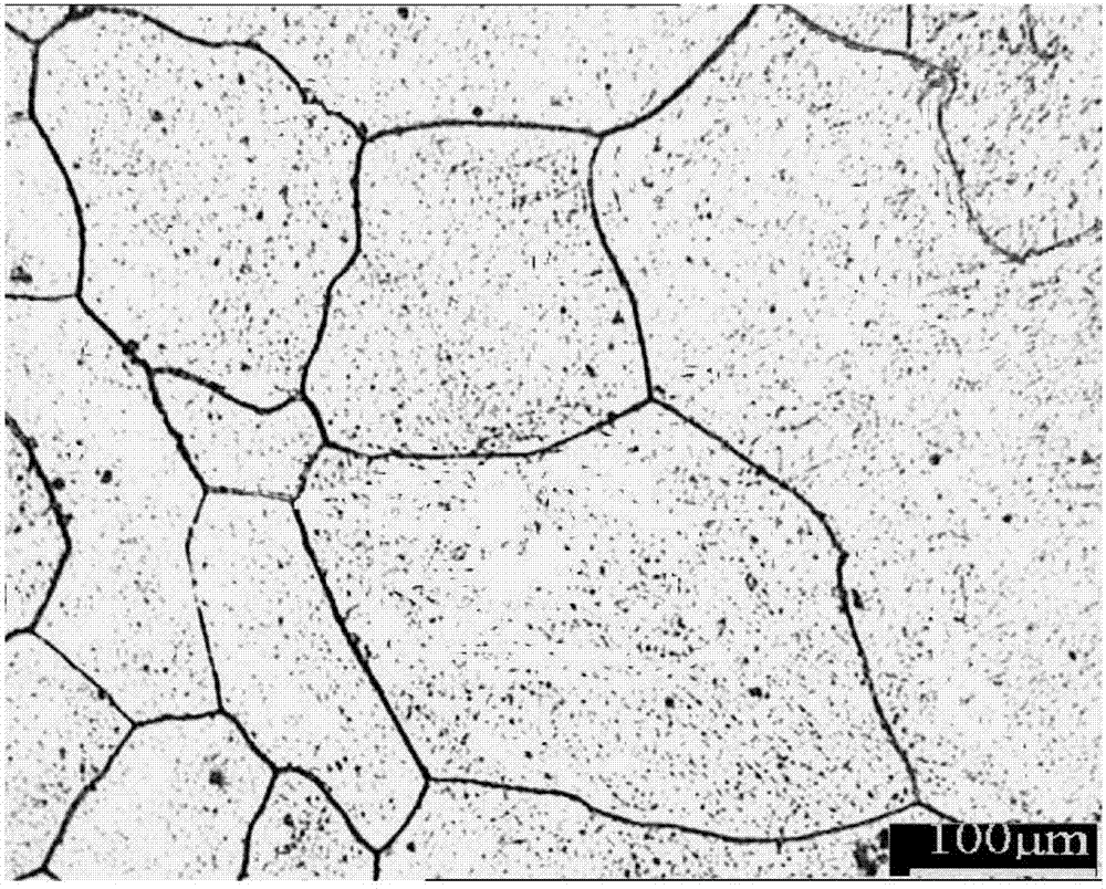 Heterogeneous high damping magnesium alloy