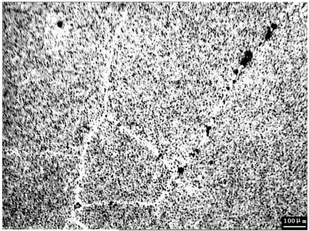 Heterogeneous high damping magnesium alloy