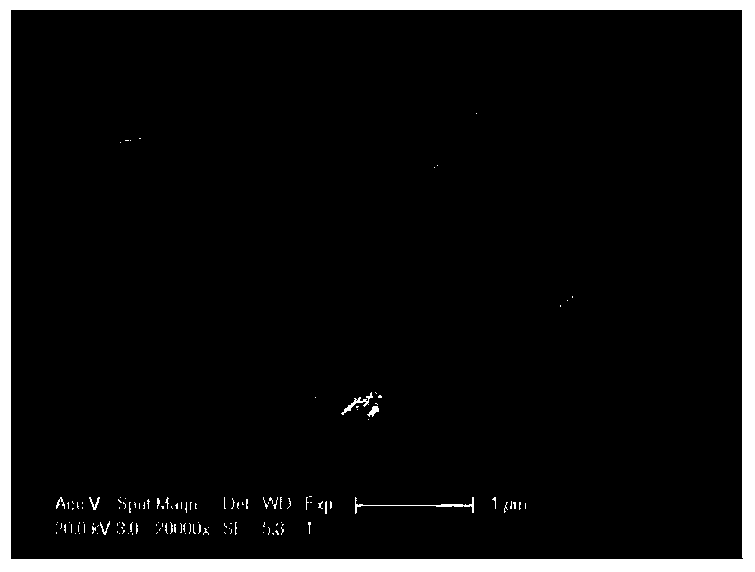 Preparation method and application of a nitrogen-doped carbon nanotube/carbon nitride composite material