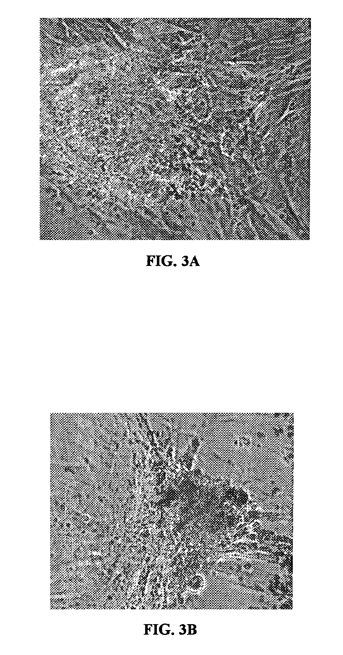 Production of reprogrammed cells with restored potential