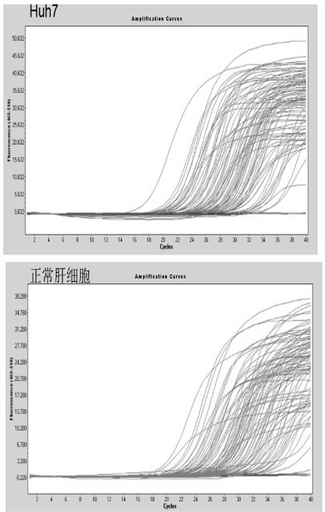 PCR detection reagent for detecting liver cancer core signal molecules and application thereof