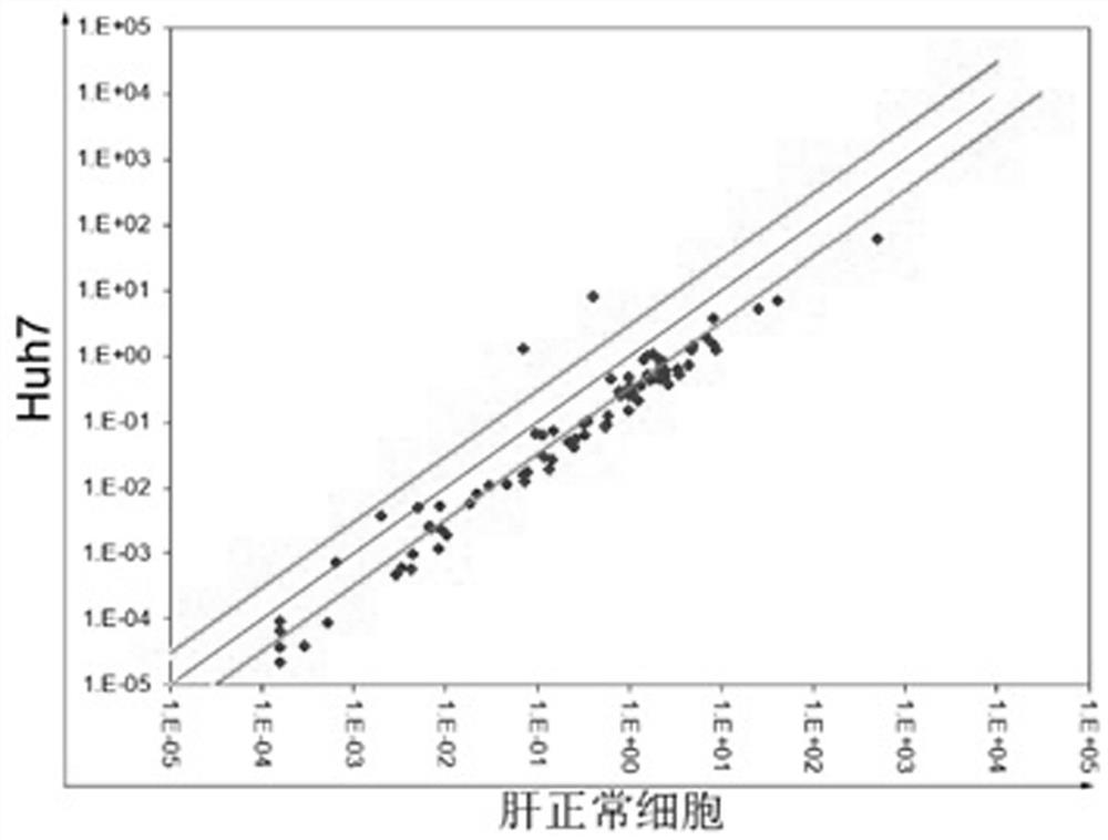 PCR detection reagent for detecting liver cancer core signal molecules and application thereof