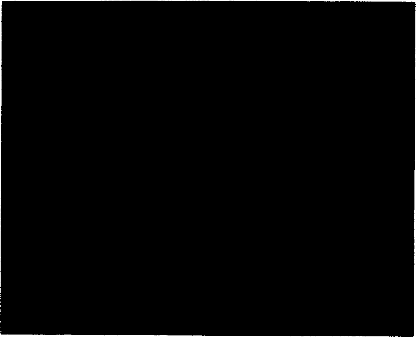 Foamed aluminum carried titanium dioxide catalyst, its preparation method and uses