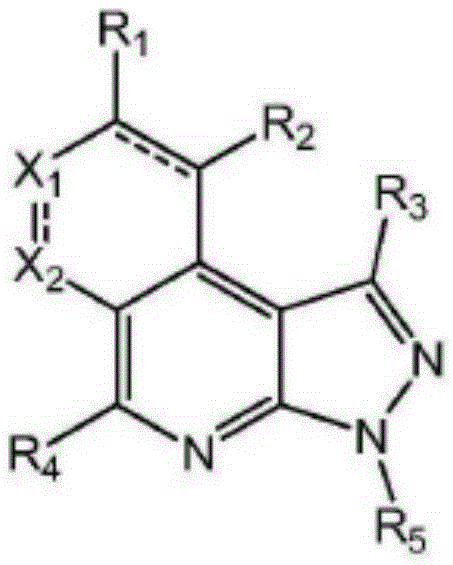 Pyrazolopyridine derivative anti-tumor compound and preparation method and application thereof