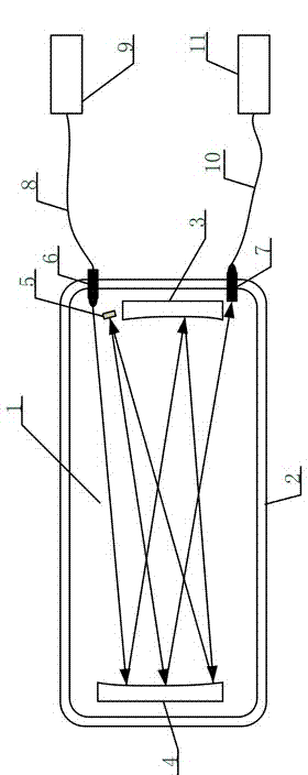 Long-optical-path gas detection device with fine adjustment mechanism