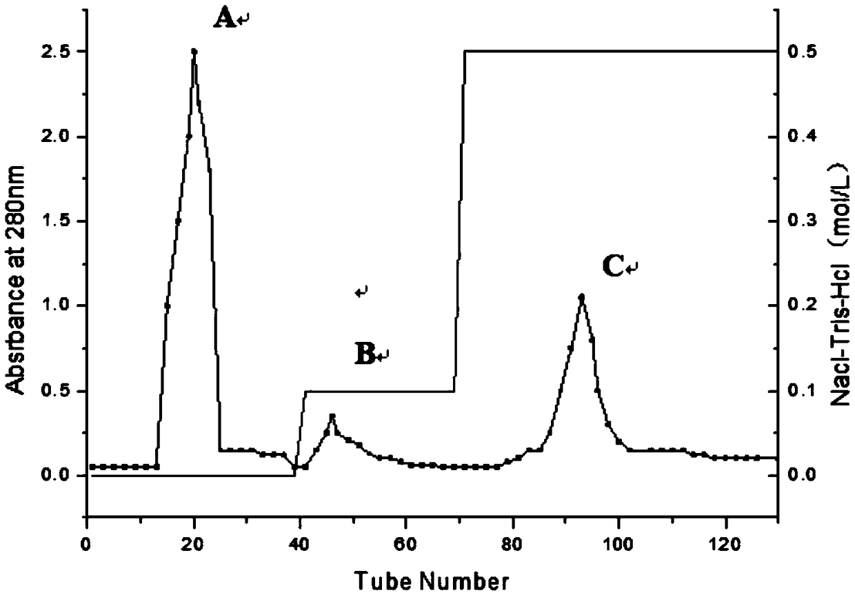 Euphausia superba-originated antihypertensive tripeptide and application thereof