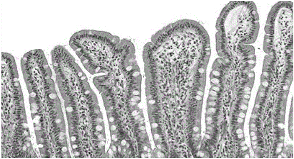 Preparation method of low-molecule soybean polypeptide with healthcare function